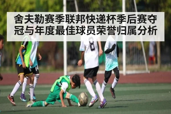 舍夫勒赛季联邦快递杯季后赛夺冠与年度最佳球员荣誉归属分析(kaiyun)